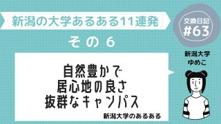 今から晴れるよ 新潟の冬の天気 137 アット新潟交換日記新潟大学しおりん アイル