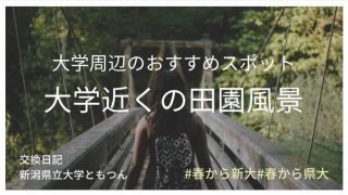 今から晴れるよ 新潟の冬の天気 137 アット新潟交換日記新潟大学しおりん アイル